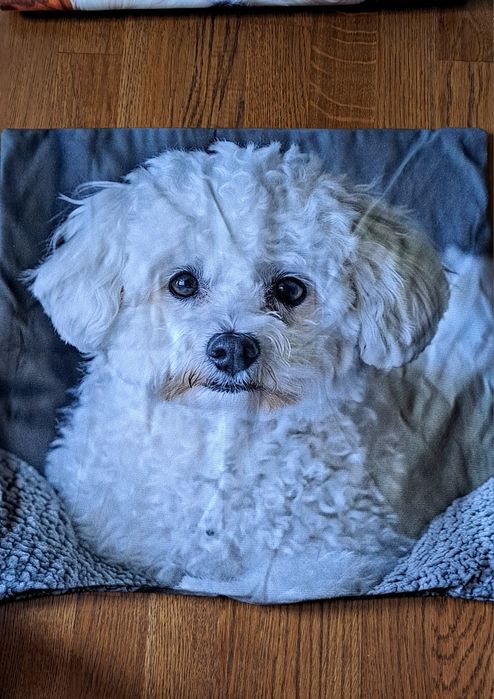 Наволочки нові з принтами  собачок(болонка) 45×45