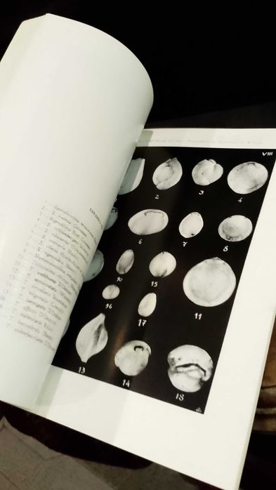 Foraminíferos do Arquipélago da Madeira (1965)