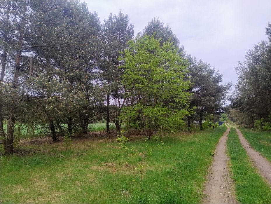 Sprzedam działki budowlane Wladyslawowo Nowe Miasto – pohled 3