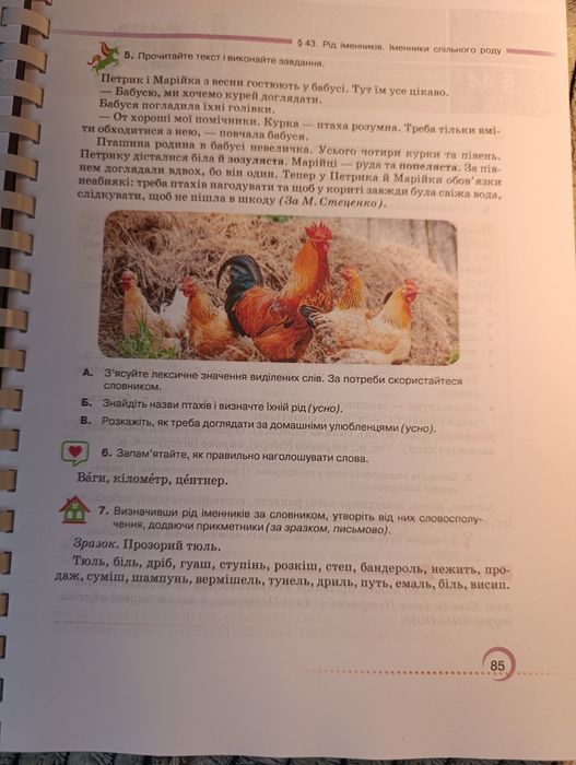 Українська мова. 6 клас” – Олександр Авраменко НУШ