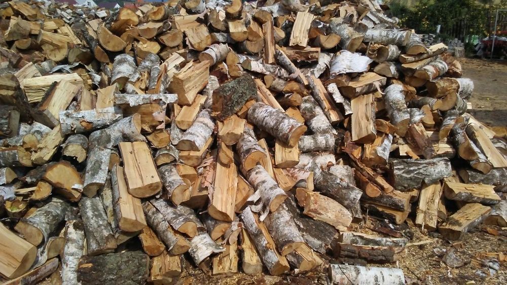 drewno kominkowe i opalowe