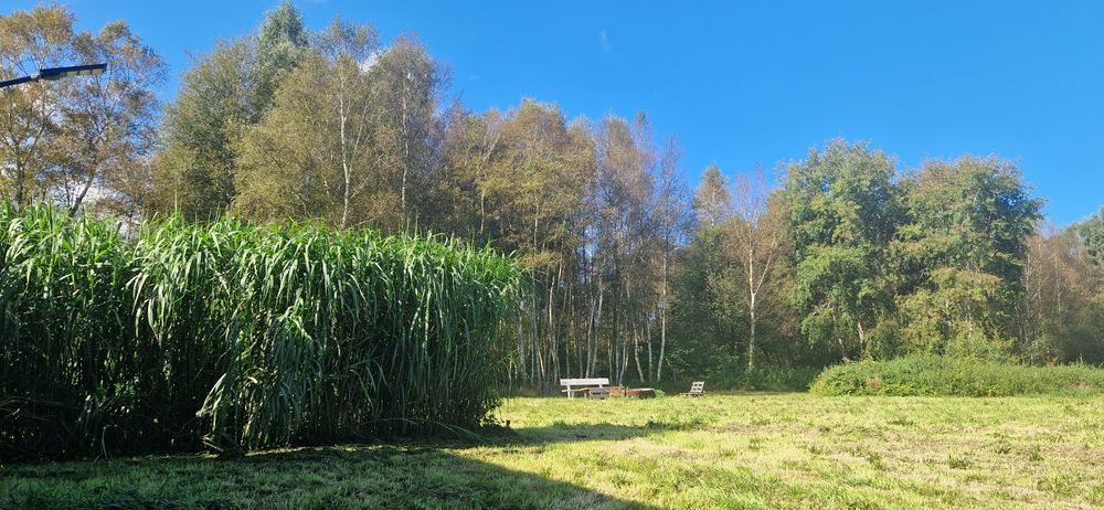 Działka nad morzem