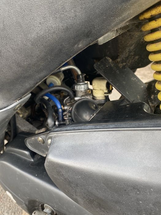 Suzuki lets 2 new