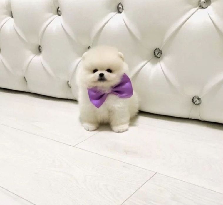 Крохи в наличии мини