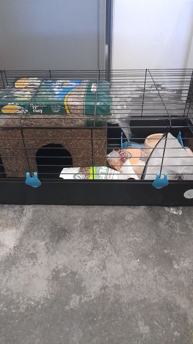 Gaiola completa para Coelho