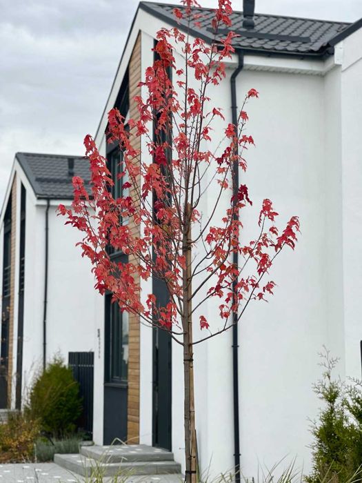 Котедж з документами 100 м² в котеджному містечку з озером, біля Десни