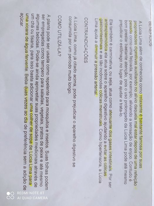 Chá Lúcia Lima biólogico