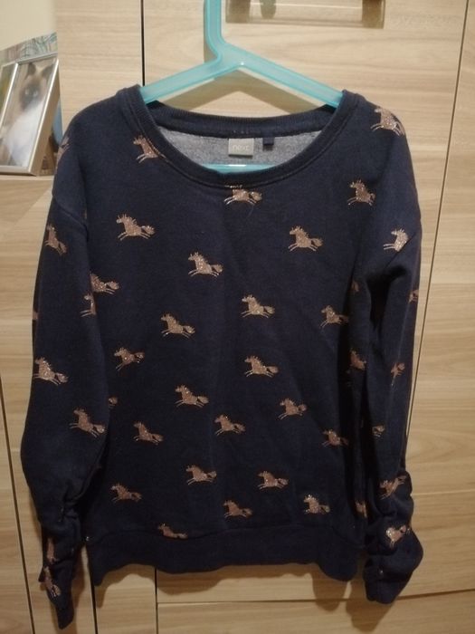 Bluzko bluza w koniki