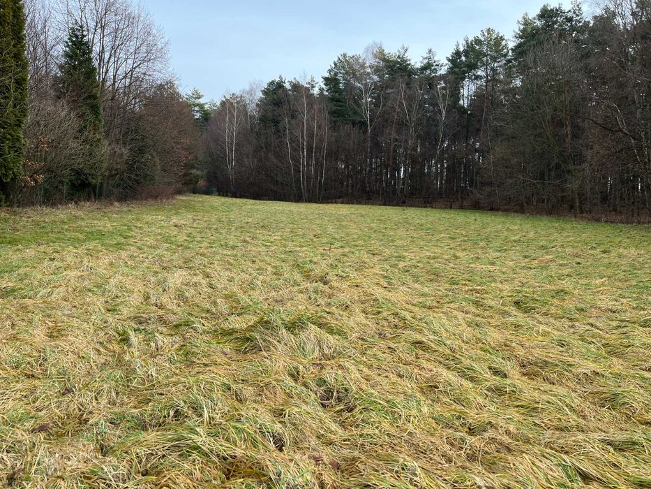 Działka 57 arów w spokojniej okolicy w Regulicach blisko Grojca