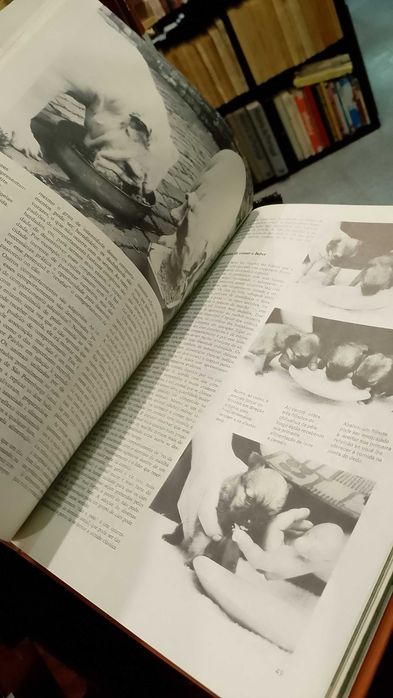 Tudo sobre Cães Grande Enciclopédia Ilustrada - Michael Geary