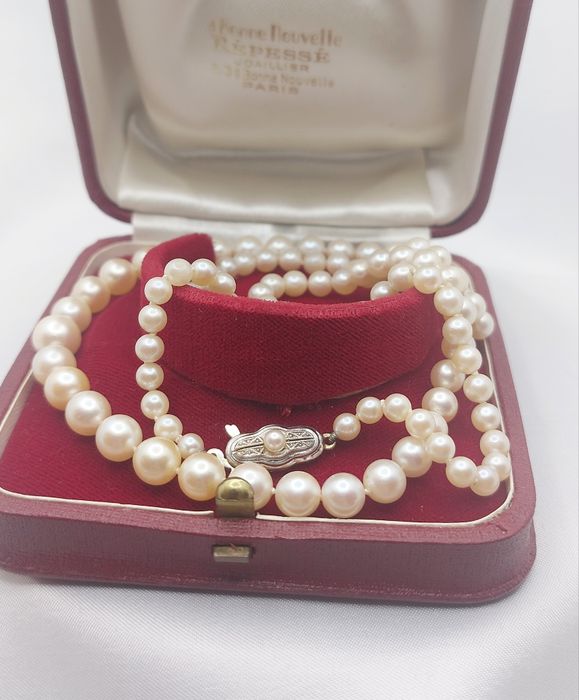 Perły akoya retro naszyjnik zapięcie złoto 14k stopniowane 59cm Wycena