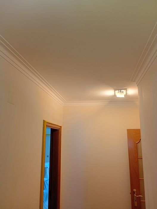 Interior Painter503157870759127045