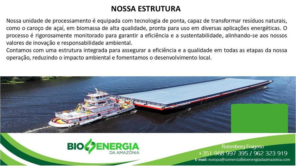 Caroços de Açai  para combustão. BIOMASSA