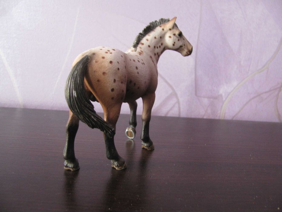 SCHLEICH - Koń, ogier KNABSTRUPPER 13689 z 2010 r. - Kolekcjonerska