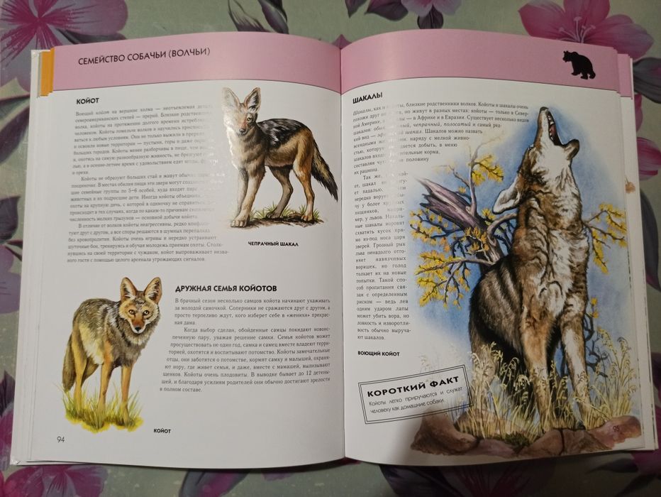 Книга-енциклопедія тварин (рос.)