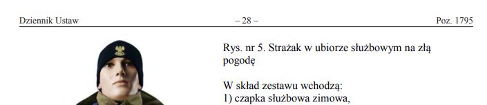 Czapka zimowa służbowa PSP [Rozmiar: 60-61 - XL]