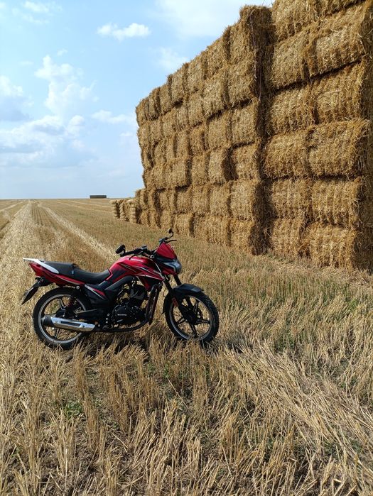 Musstang fortune 200