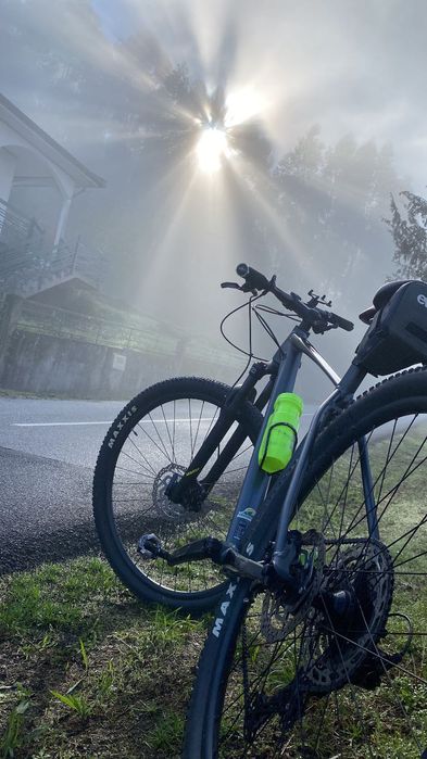 Vendo Scott Scale 980