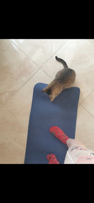 Каремат спортивний