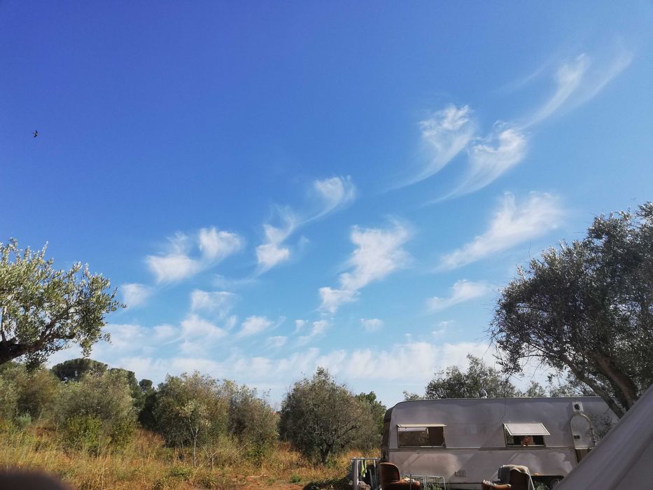 "Terreno Rústico à Venda – Tomar, em Santarém"