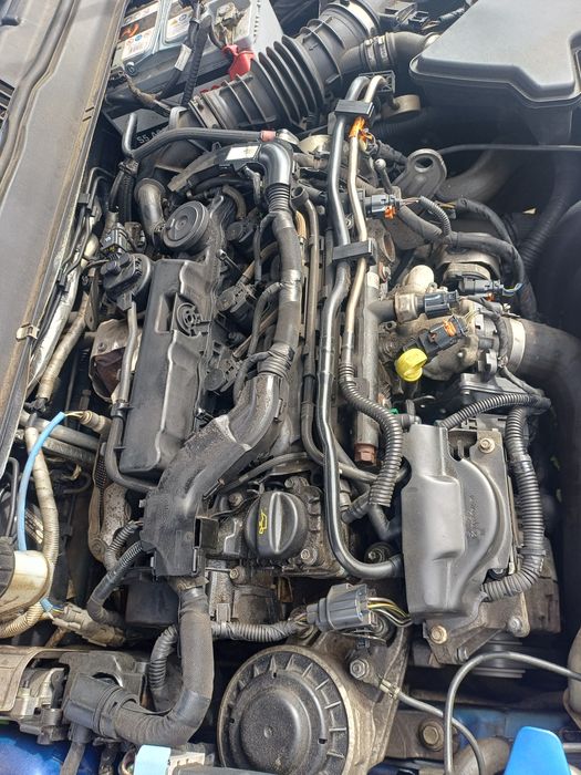 Silnik ford DW10F MONDEO MK 5, S-MAX MK2, Kuga MK2 - T8CC, 2.0Tdci,