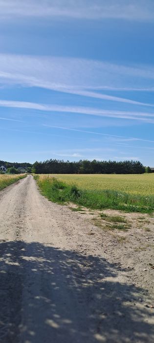 Działka budowlana na Roztoczu. 10km od Zamościa - Widok 5