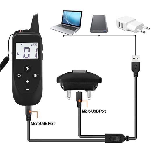 Reedog P20 | Електронний дресирувальний нашийник