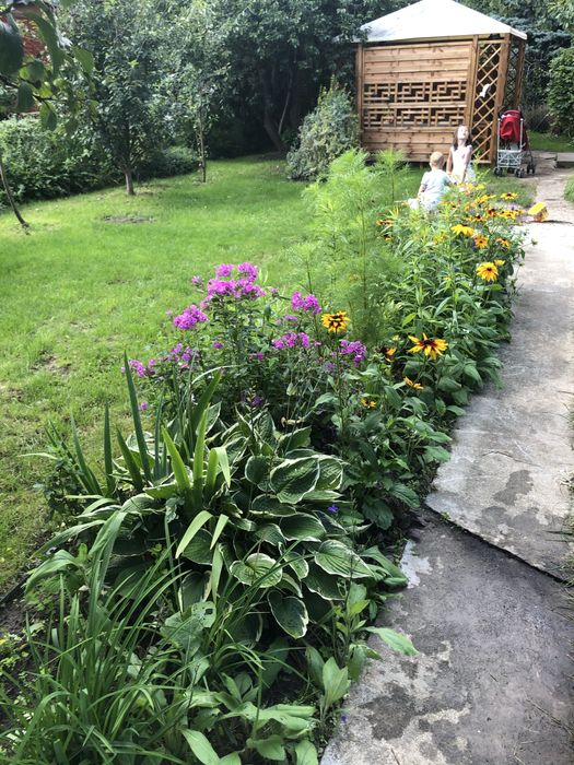 sprzedam prawo do użytkowania ROD – Warszawa ul. Łodygowa