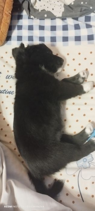 В самі добрі ручки, маленька солоденька булочка