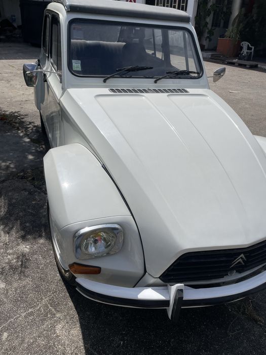 Citroen dianissima