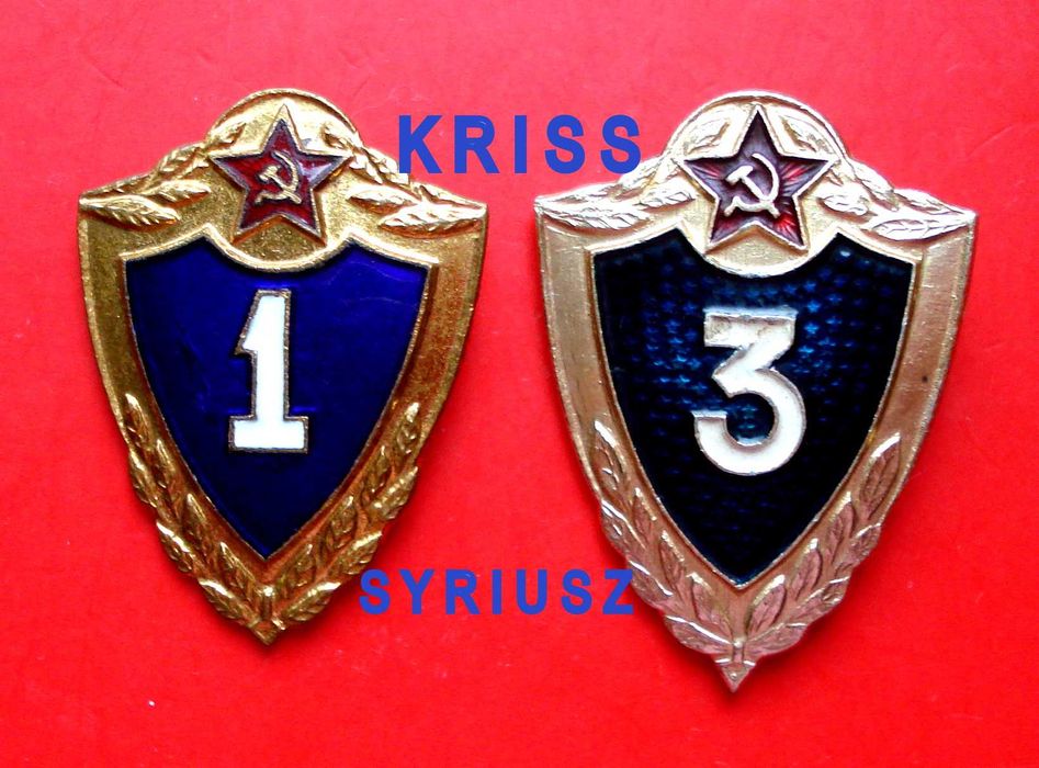 Odznaczenia Armii ZSRR - Ukraina - Sprawność wojskowa nr 1 i 3 .