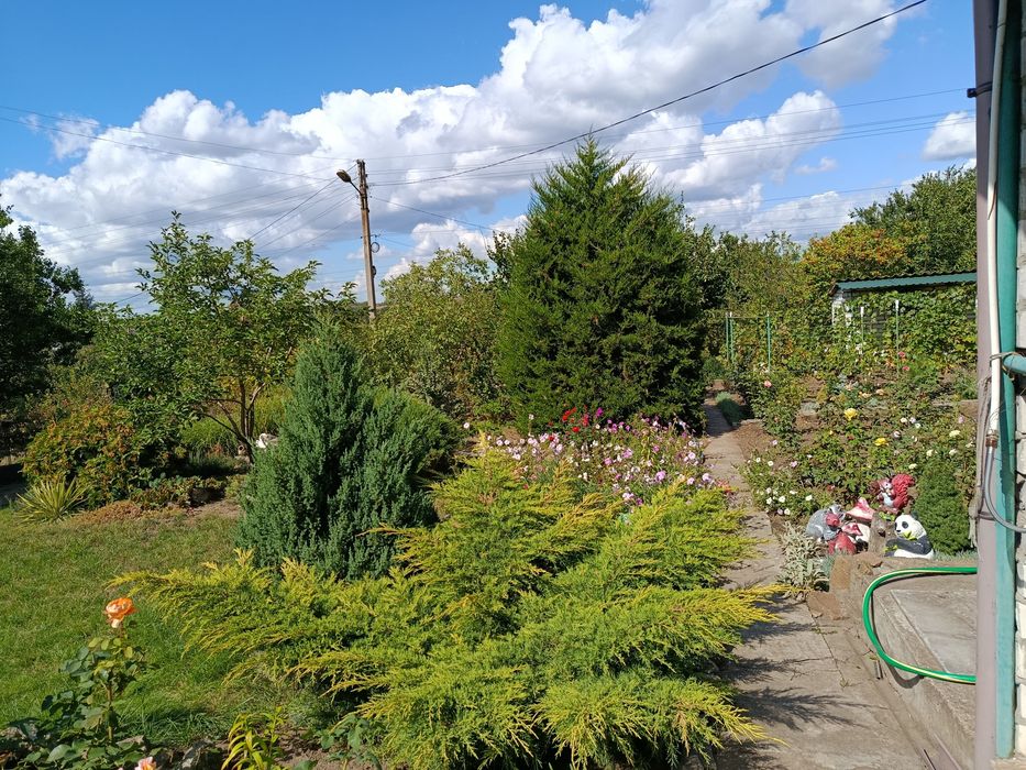 Продам дачу с домом (без печки)