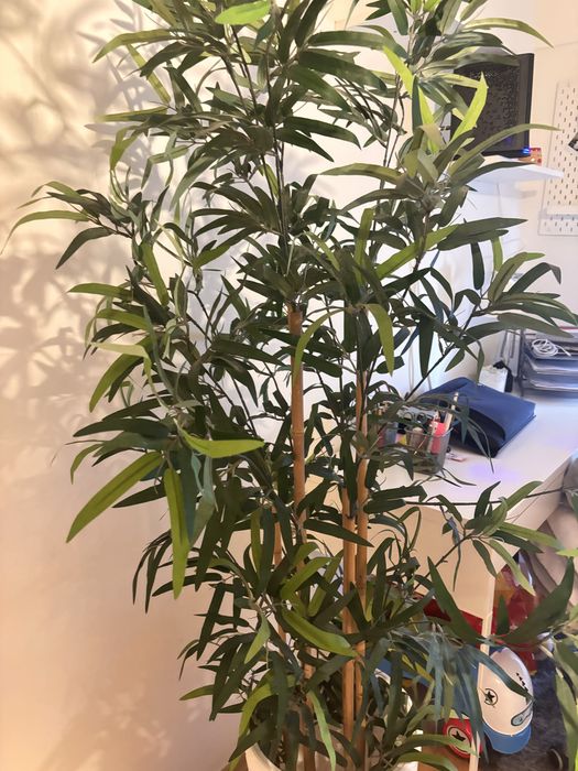 Planta Ikea Grande c/vaso