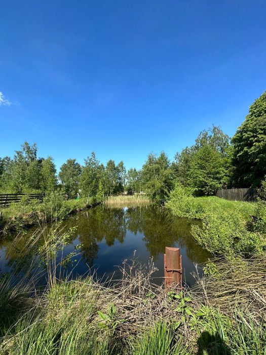 Земельна ділянка