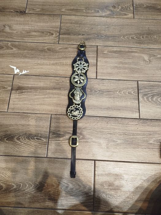 Винтажный латунный конный мартингейл, медальйон конские бляхи