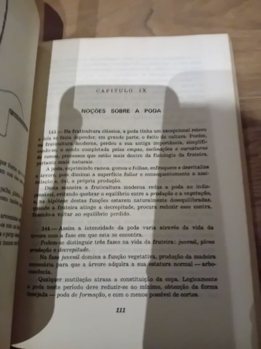 Fruticultura de Hoje - Eng.° Madeira Lobo