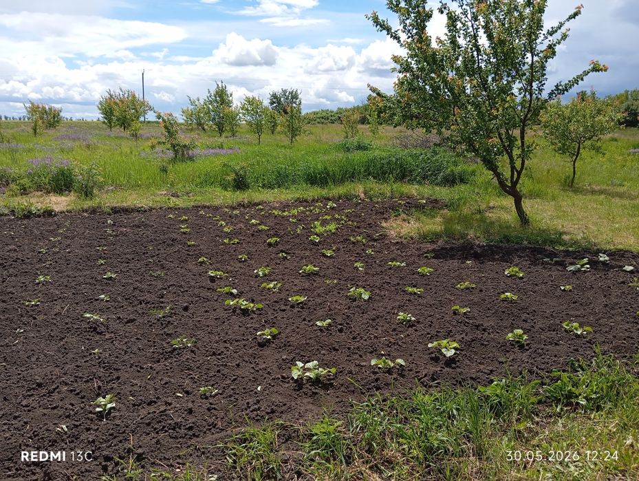 Продам дом в Скрипаях