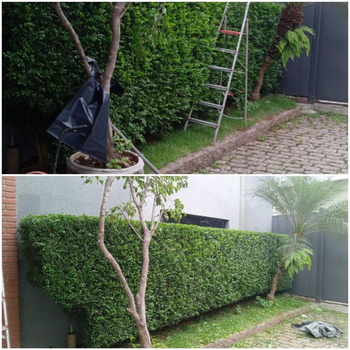 Mudanças, Limpeza de Jardins/Matas e Retirada de Entulho