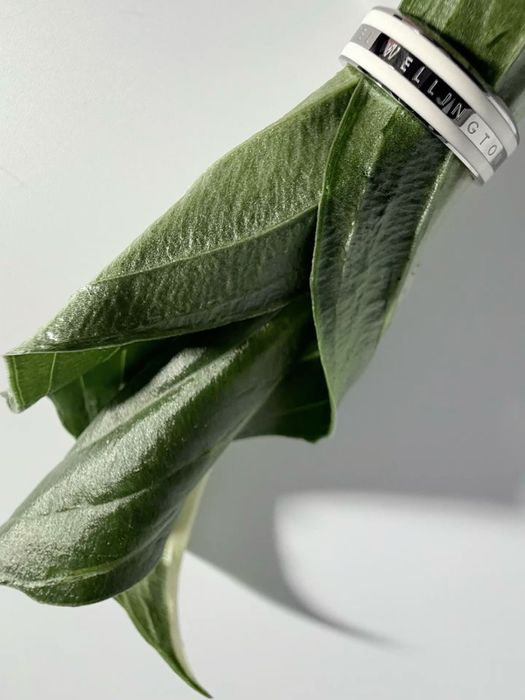 Каблучка Daniel Wellington нова