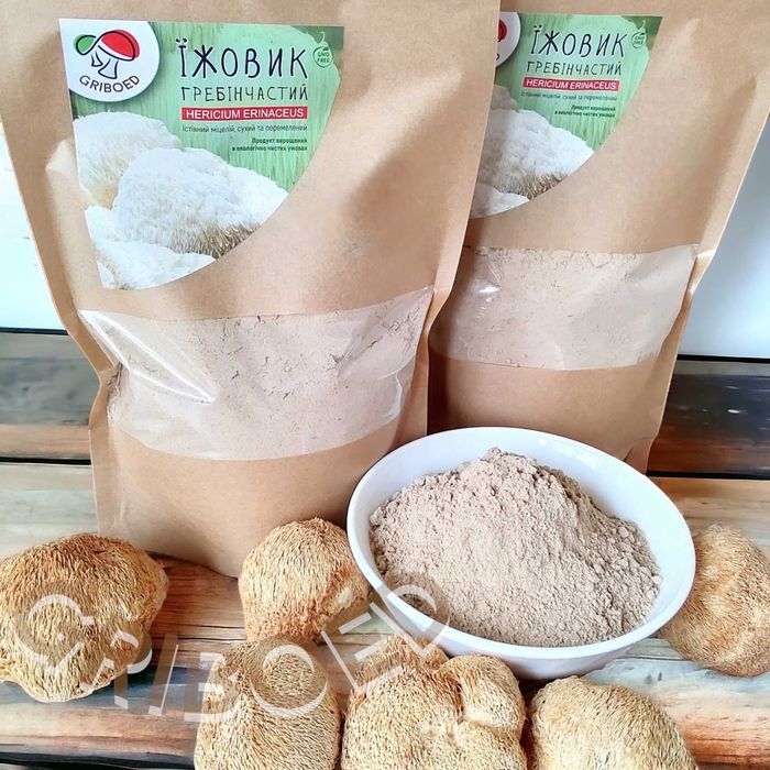 300 грам - Їжовик гребінчастий. Сухий та перемелений на порошок.