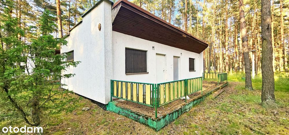 Dom – Kucoby - Widok 2