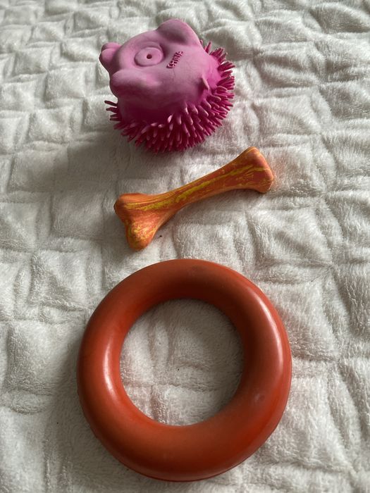 Gryzaki zabawki dla psa