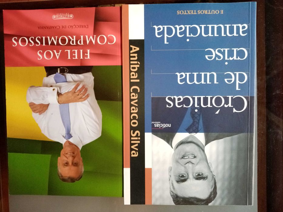 A pianista Flores de pedra Sétima Profecia Irmandade