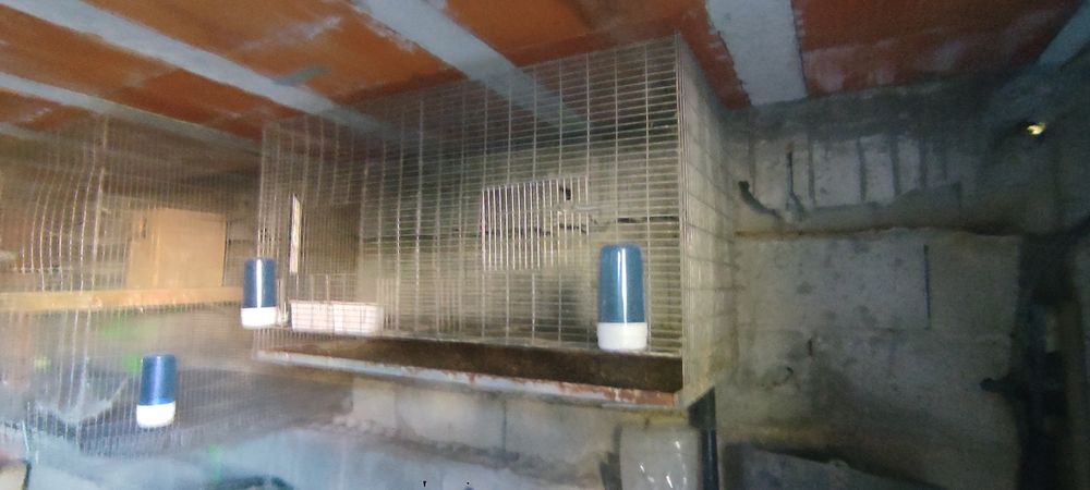 Gaiolas para pássaros