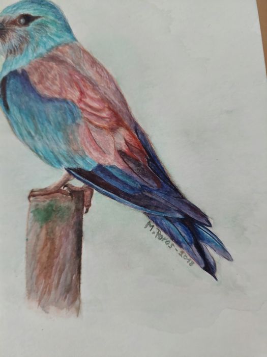 Akwarela 30x40 z ramką