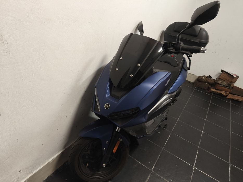 Mota com 3 anos nova