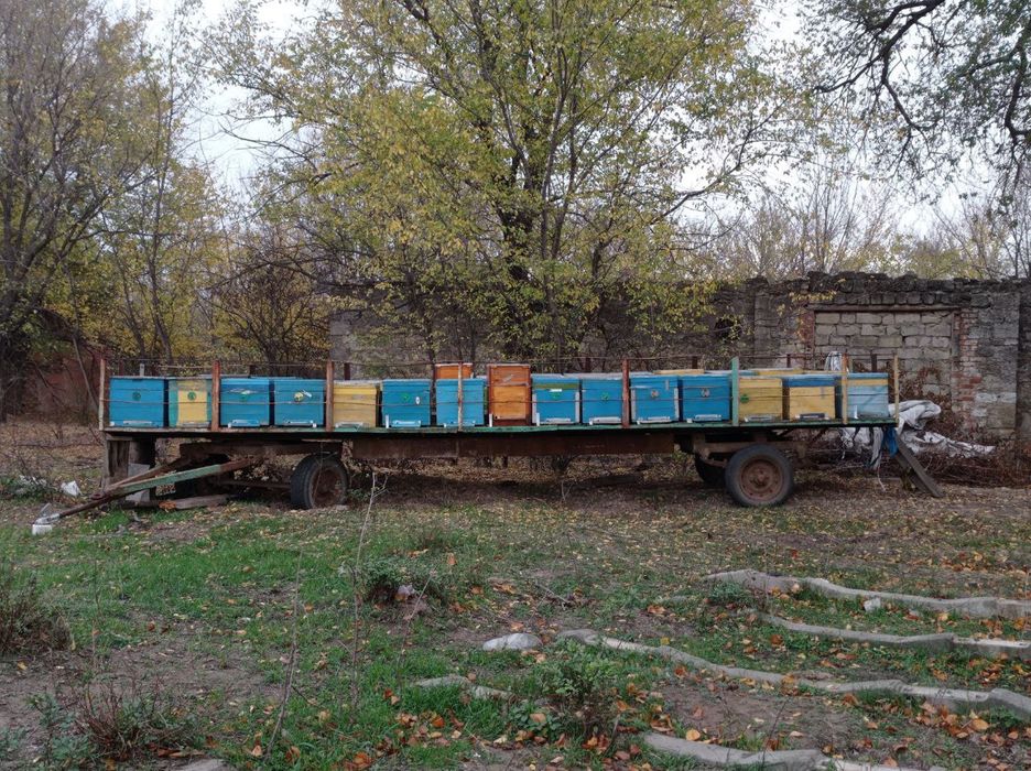 Продам прицеп для пчел ,причіп для бджіл