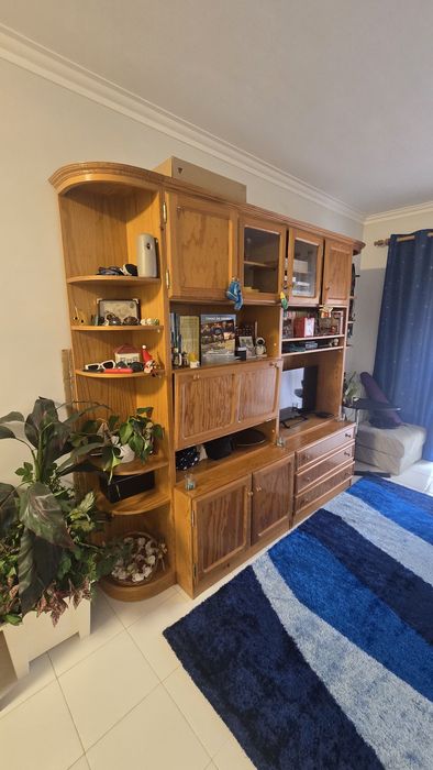 Movel da sala para arumos e TV