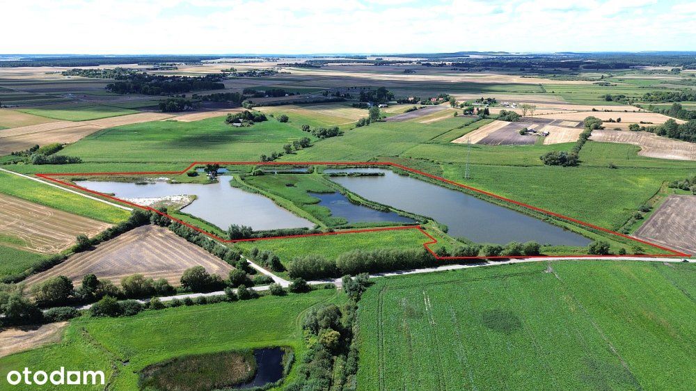 Czynne stawy hodowlane 6,7 ha/5 stawów/Uher/Chełm