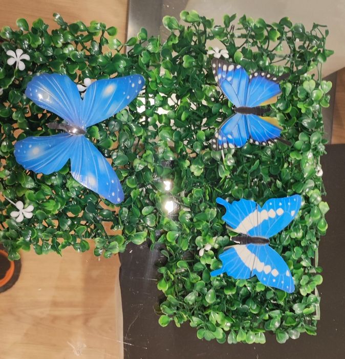 Borboletas decorativas